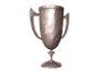Recueillir vieux trophées ou emprunter ceux de l'école's victory cabinet .