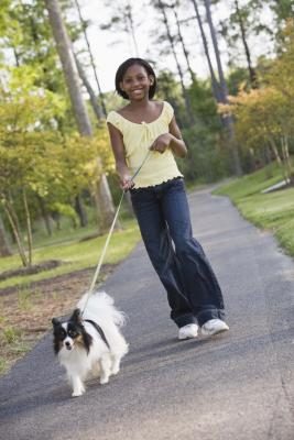 certains propriétaires don't have adequate time to walk their dogs