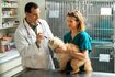 Infirmières vétérinaires travaillent aux côtés des vétérinaires prennent soin des animaux.
