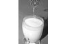Mesurer une tasse de lait frais dans un bol.