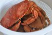 Comment faire cuire Red Rock Crab