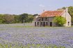 maison de style ranch dans le champ de fleurs violettes