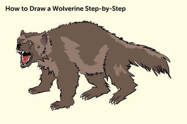 Comment dessiner un Wolverine Step-by-Step