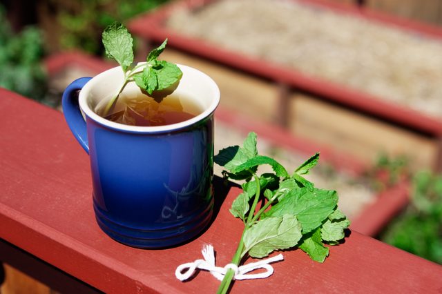 Comment sécher les feuilles de menthe pour Tea