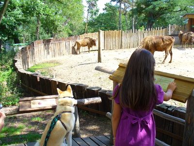 Il est important que les filles apprennent à respecter les animaux sauvages.