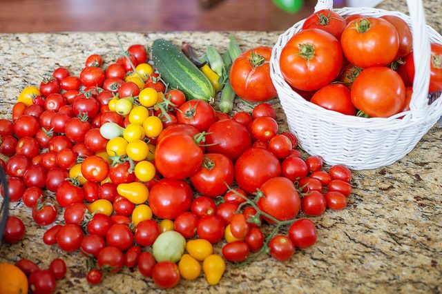 Comment faire pousser des tomates