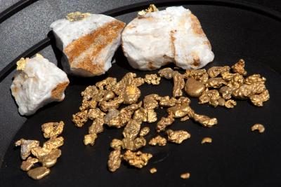 Pépites d'or trouvés panoramique et de quartz avec des brins d'or