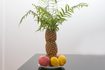 Comment faire une décoration Palmier à l'aide Ananas