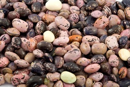 Tout type de haricots secs va fonctionner, même les grains de café.