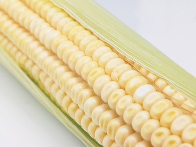 Le maïs est la source la plus couramment utilisée pour la production de carburant à l'éthanol.