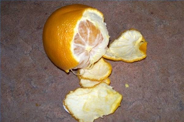 Écorces d'orange contiennent de l'acide citrique et font de grands désodorisants d'élimination.