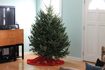 Comment mettre les arbres de Noël sur Hardwood Floors