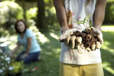 Une fille tient un semis dans un tas de terre dans le jardin avec sa mère.