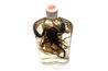Ginsing racine et scorpion dans une bouteille