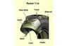 Radial Tire Transversal