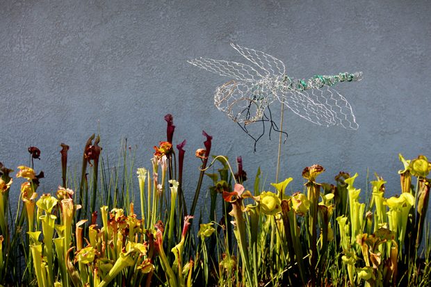 La sculpture de libellule poulet-fil à la maison dans le jardin.