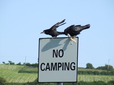 Toujours vérifier les lois contre le camping dans votre région.