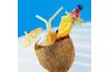 Pour une touche décorative, servir des boissons dans des coquilles de noix de coco.