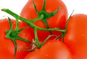 Obtenez vos tomates juteuses encore par pulvérisation d'une solution de sel d'Epsom.